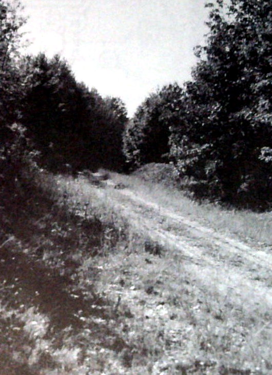 Tunk - 1990S Photo From Larry Wakefield - Ghost Towns Of Mi Vol 1